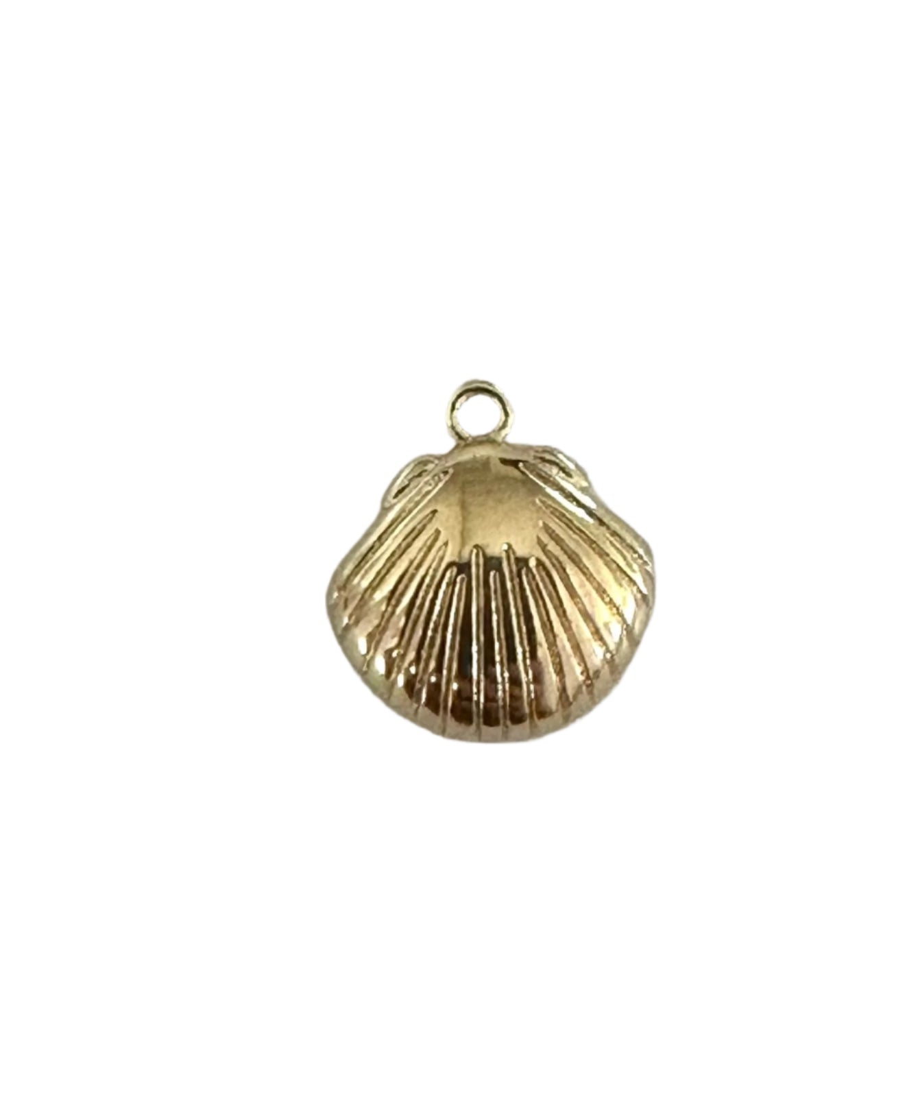 Dije en forma de concha de mar bañado en Oro amarillo